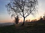 Olešná