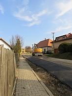 Třibřichy