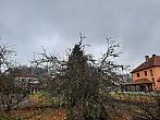 Olešná