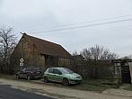 Třibřichy