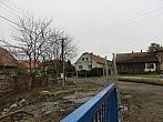 Třibřichy