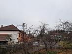 Olešná