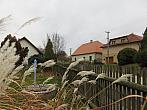 Třibřichy