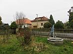 Třibřichy