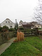 Třibřichy