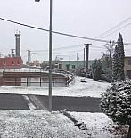 Alojzov