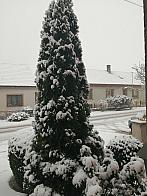 Hostákov