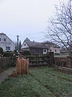 Třibřichy
