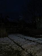 Třibřichy