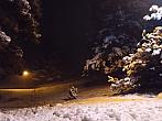 Lukovany