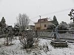 Třibřichy