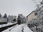 Olešná