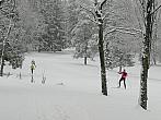 Svratka
