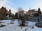 Třibřichy