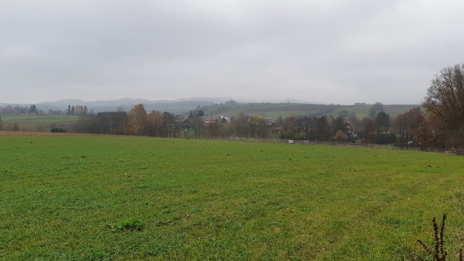 Horní Branná