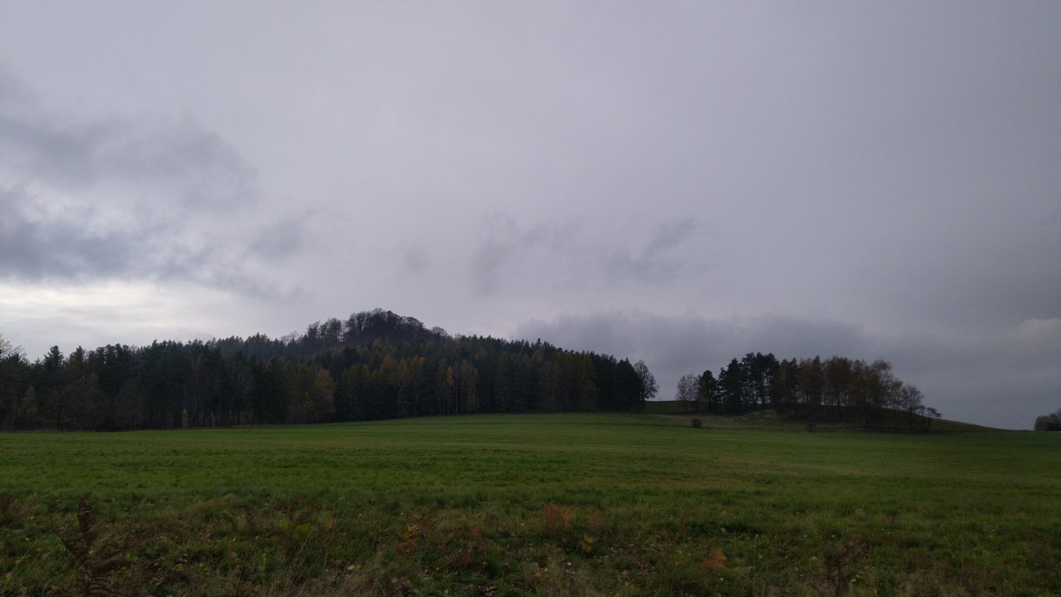 Líska