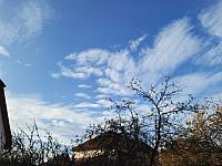 Olešná