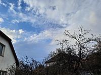 Olešná
