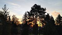 Varnsdorf