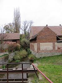 Třibřichy