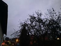 Olešná