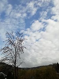 Skalité