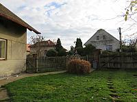 Třibřichy