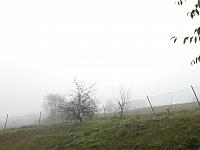 Skalité