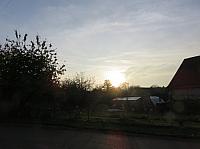 Třibřichy