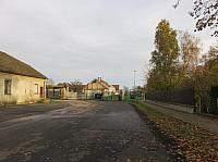 Třibřichy