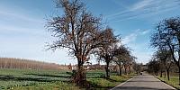 Lukovany