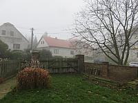 Třibřichy