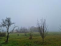 Odrovice