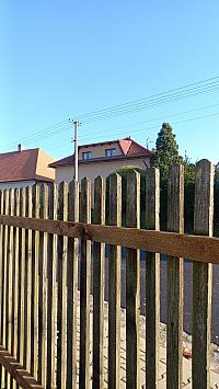 Třibřichy
