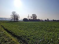 Císařov