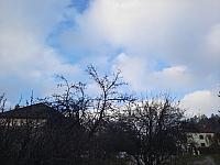 Olešná