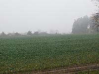 Němčice Zhoř