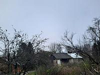 Olešná