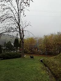 Skalité