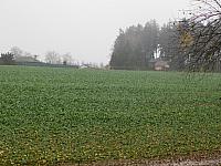Němčice Zhoř