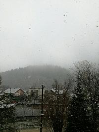 Hvozdnica
