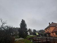 Olešná