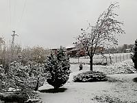 Skalité