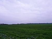 Nemilkov