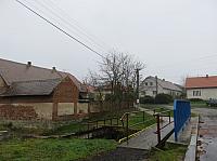 Třibřichy