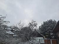 Olešná
