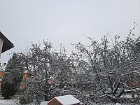 Olešná