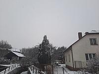 Olešná
