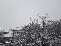 Olešná