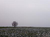 Lukovany